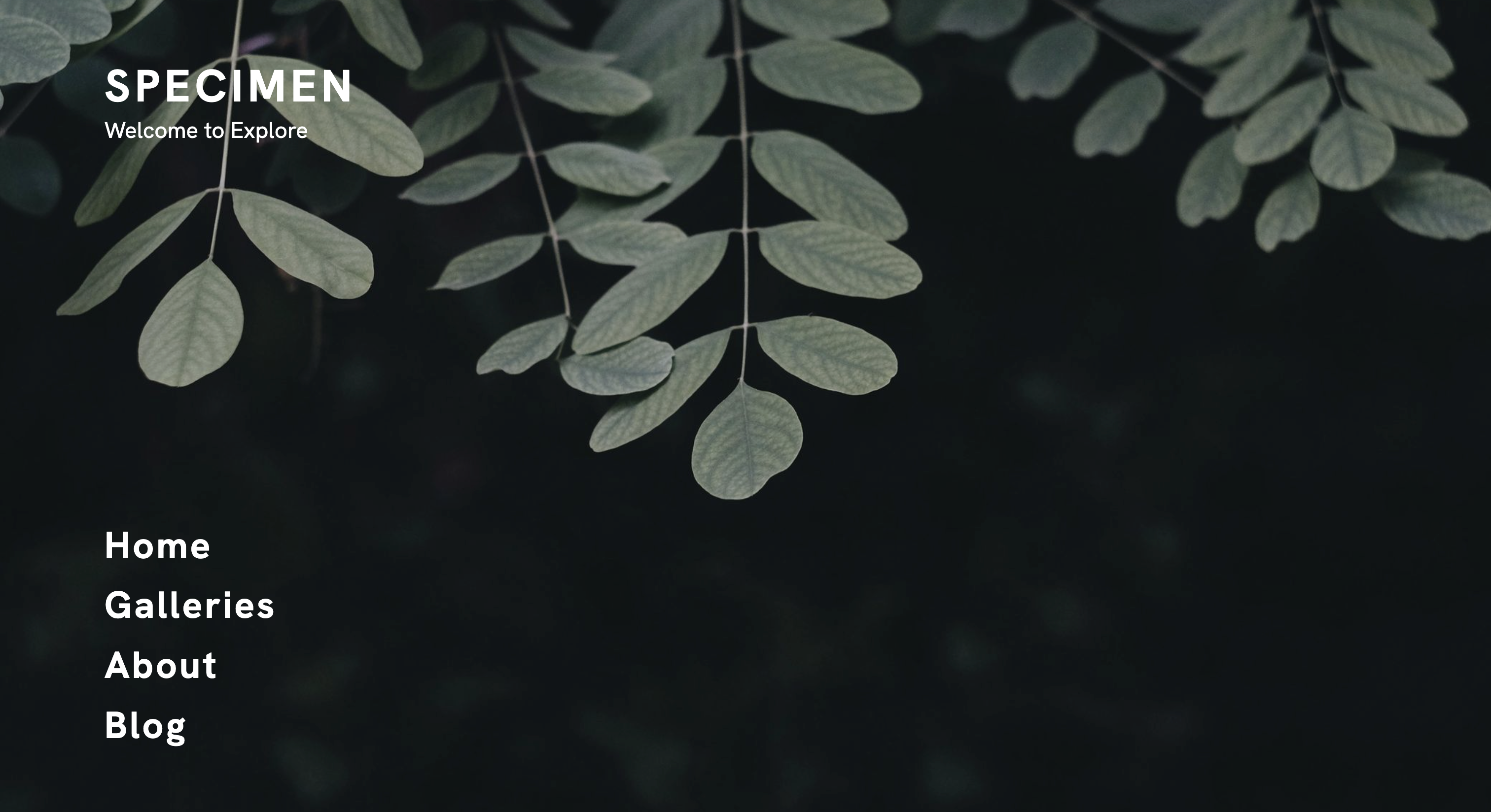 Portfoliobox Cover Page template - Cover Links