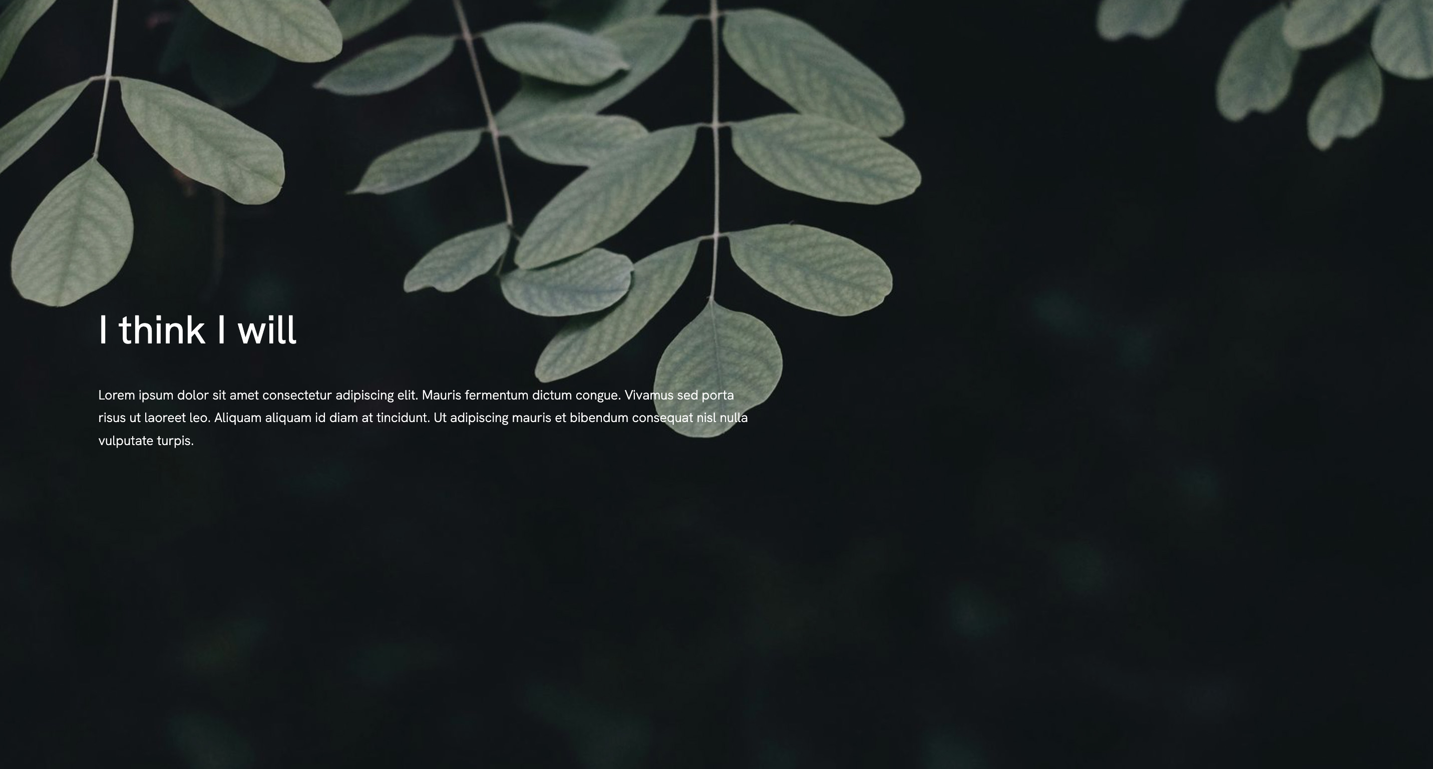 Text Cover Template - Portfoliobox