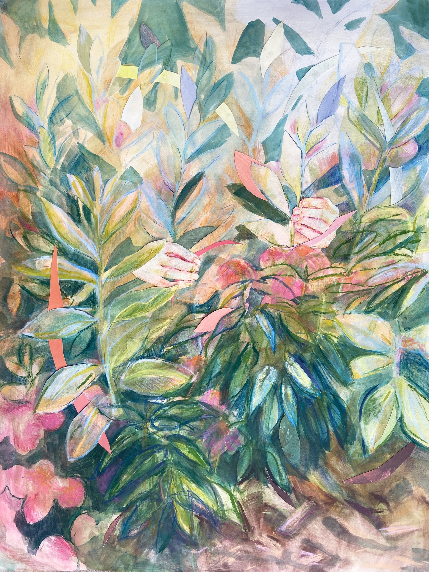 Thumbnail for Spotlight on Neva Sills