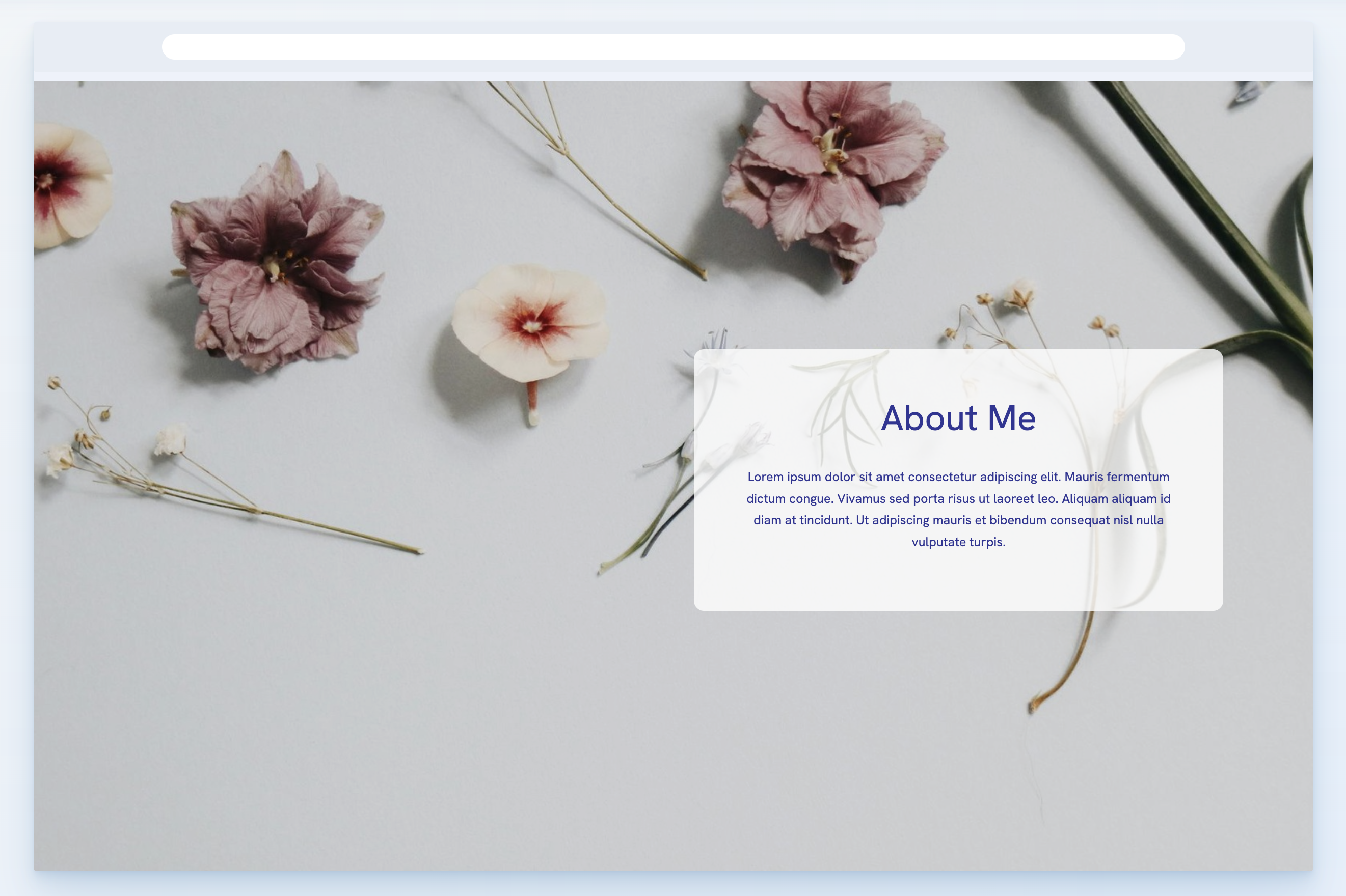 Portfoliobox Text Page Templates