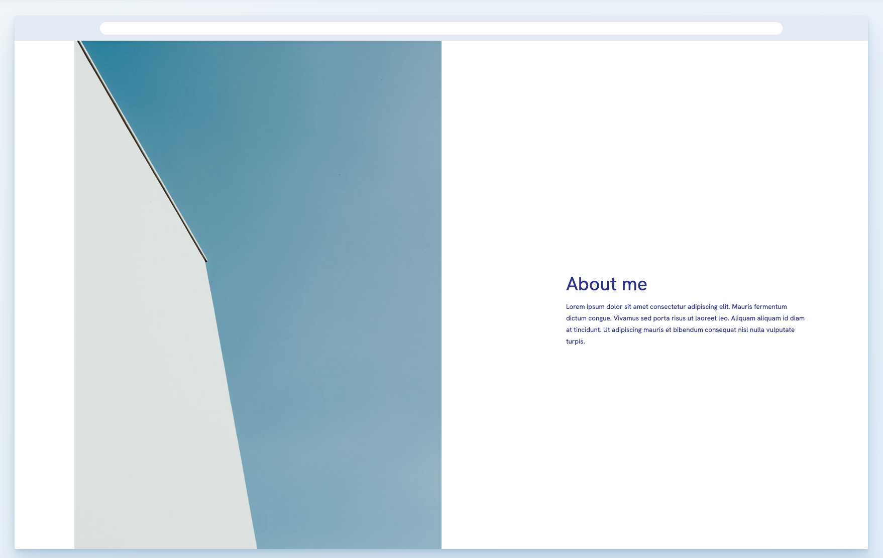 Portfoliobox Text Template