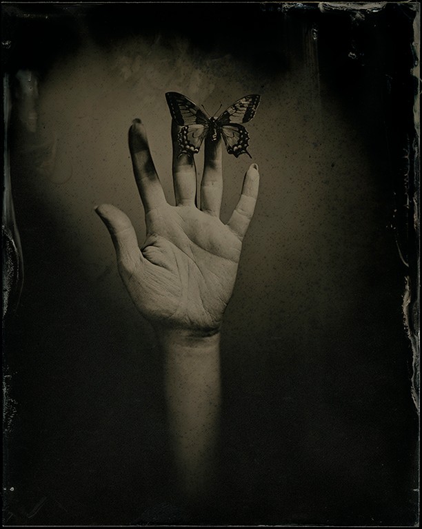 Anders Andersson - whose landscapes evoke a deep connection to nature