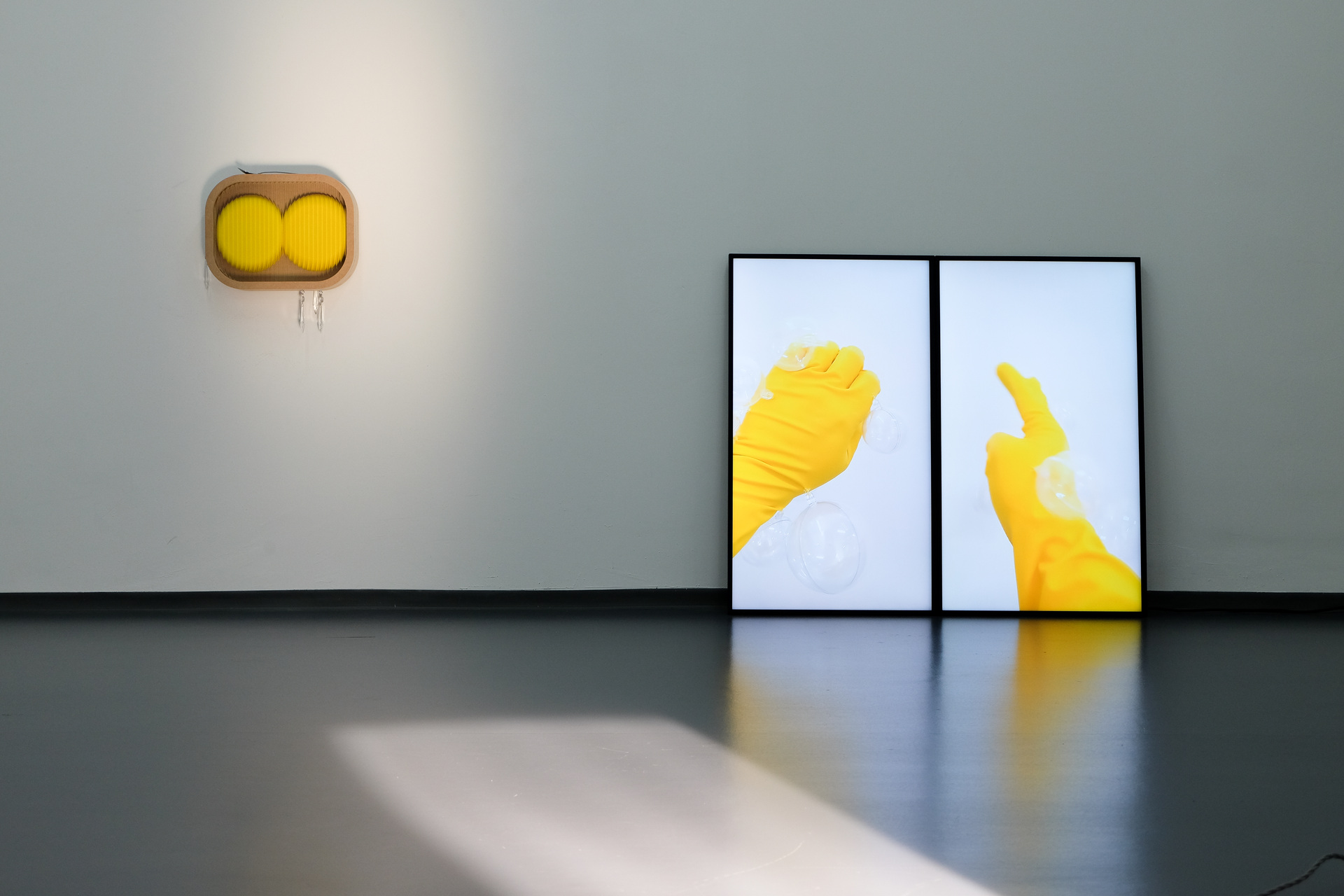 Thumbnail for Spotlight on Will Hughes