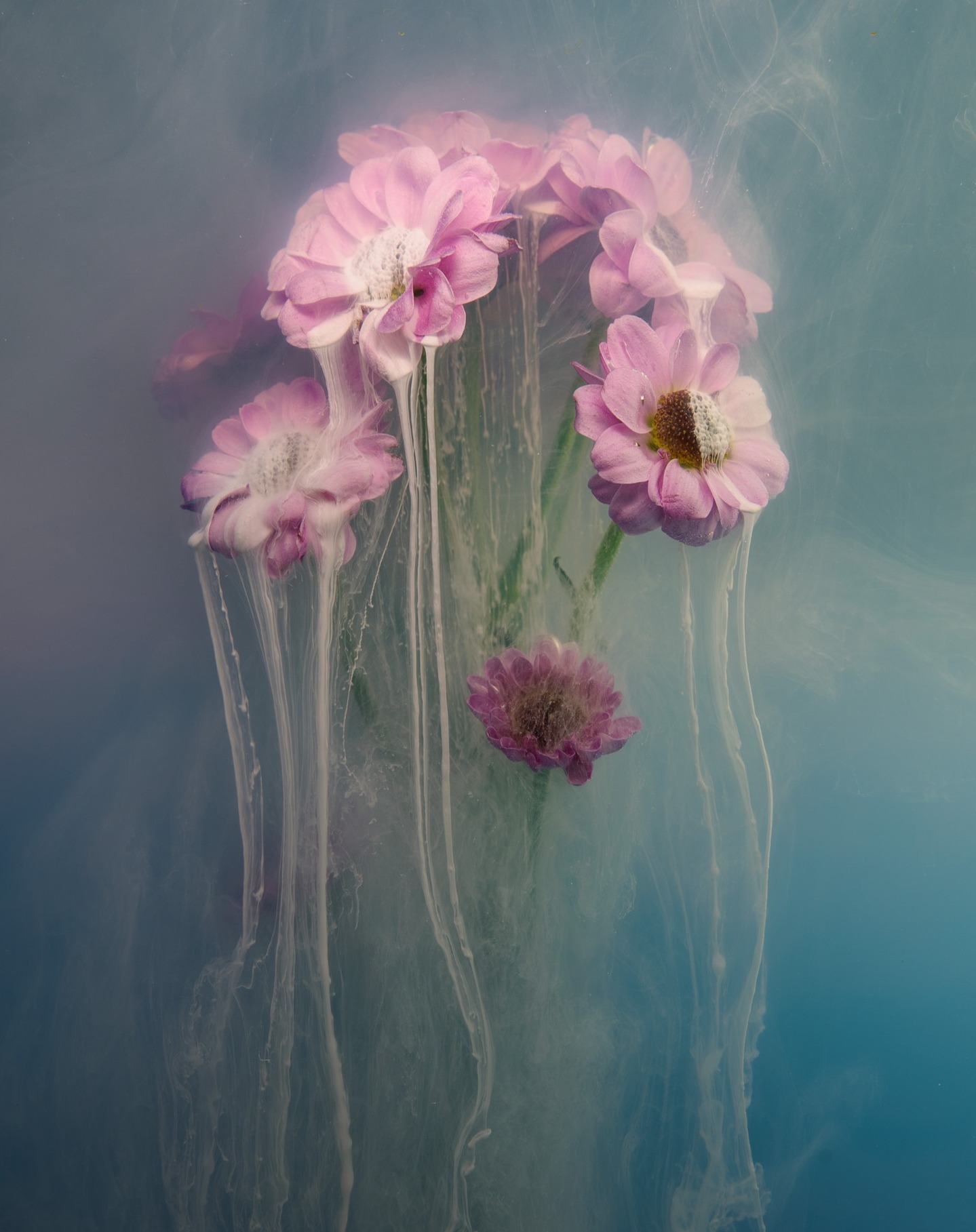 Christina Ericsson - Portfoliobox