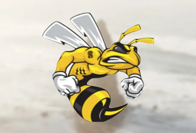 Quitman County School